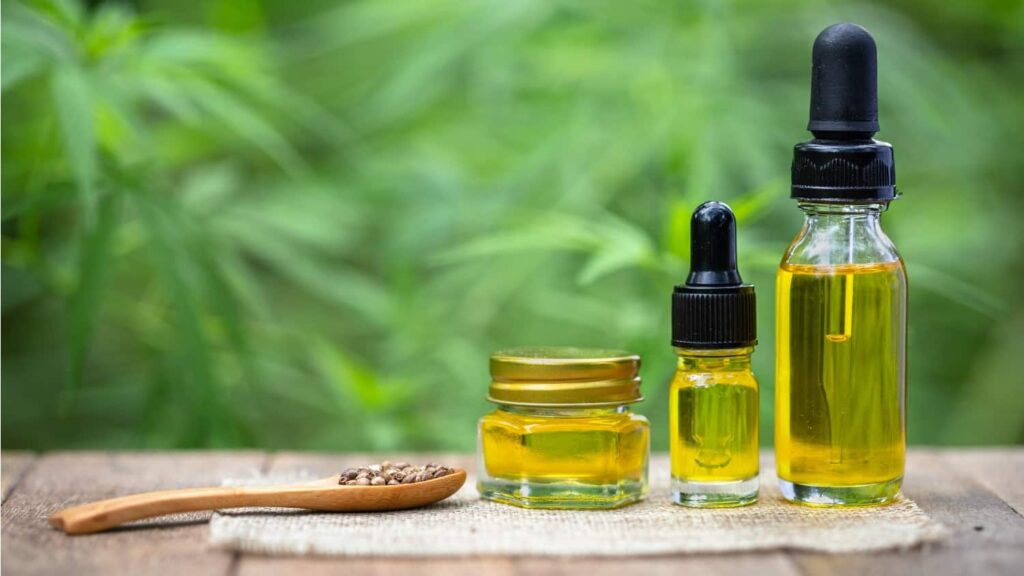 CBD Interact with the Endocannabinoid System