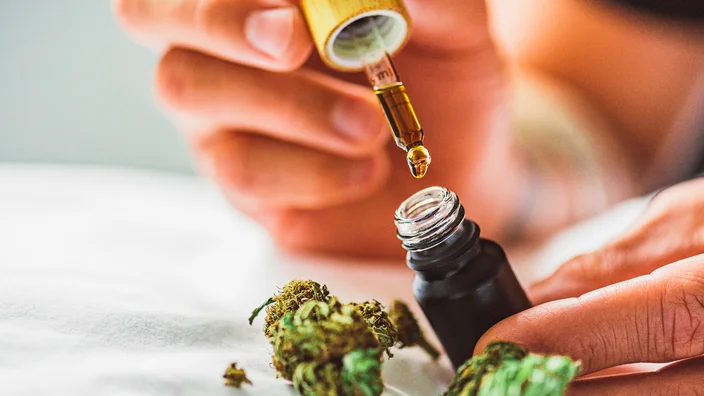 Exploring the Different Types of CBD Oil and Which One Is Right for You