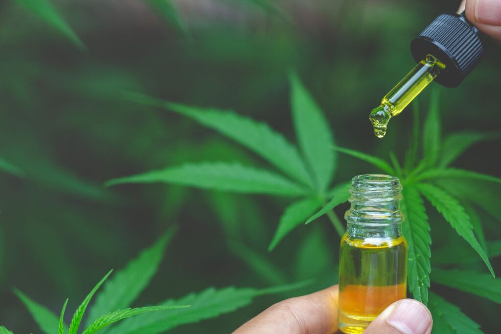 What Is Cold-Pressed CBD Oil