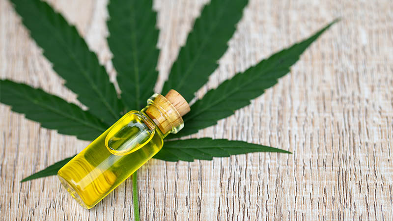 Why CBD Oil Quality Is Crucial